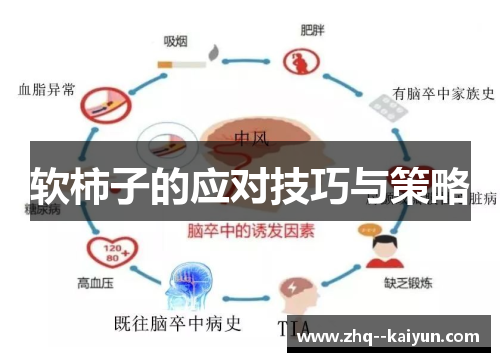 软柿子的应对技巧与策略 软柿子的应对技巧与策略